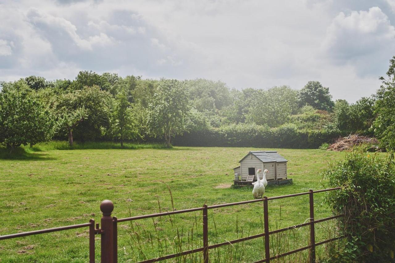 Apple Tree Cottage Beckford Dış mekan fotoğraf