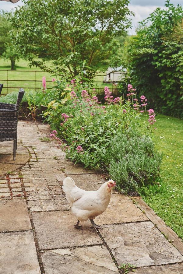 Apple Tree Cottage Beckford Dış mekan fotoğraf